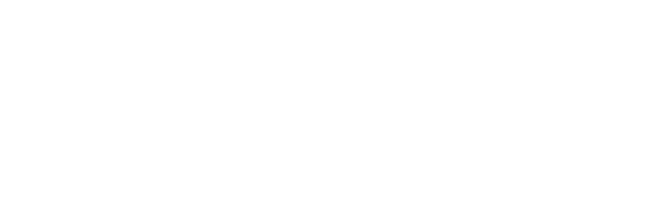 Ninetailz Motorsports