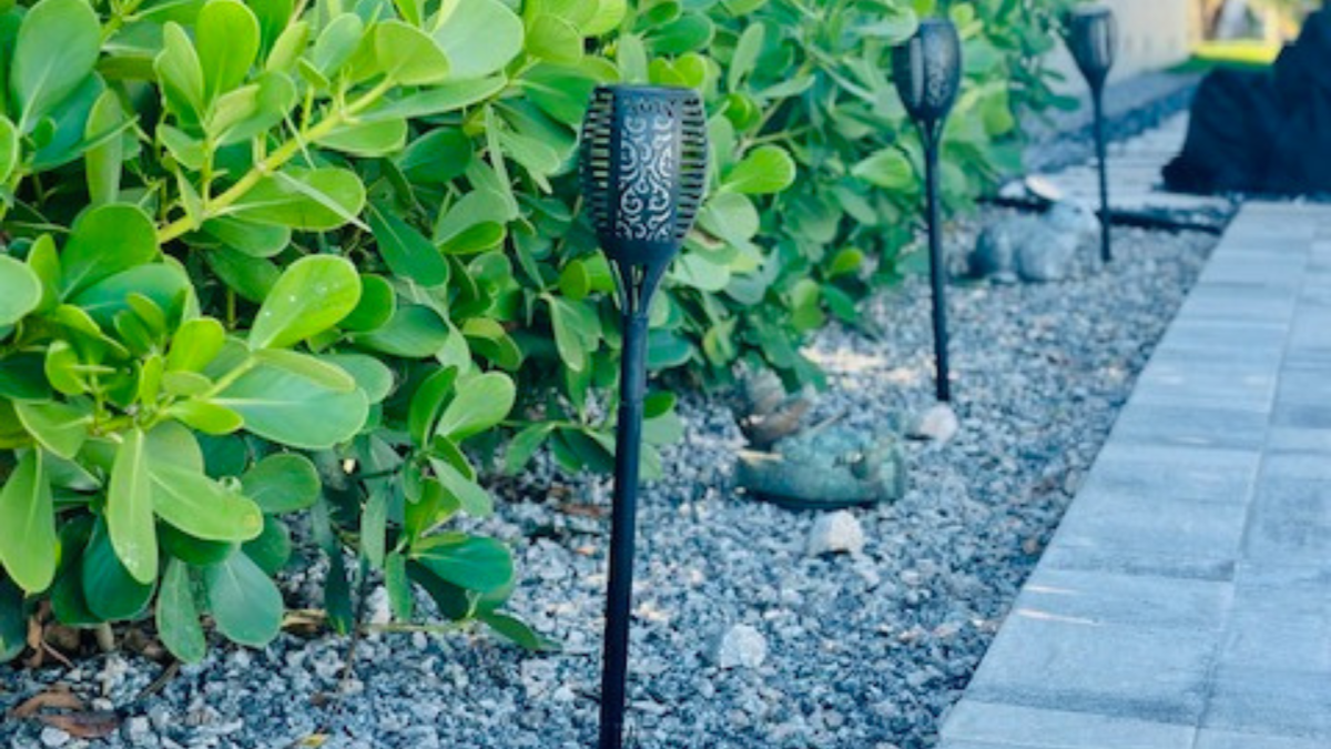 Custom Landscape Design Increases Property Values Across Seminole