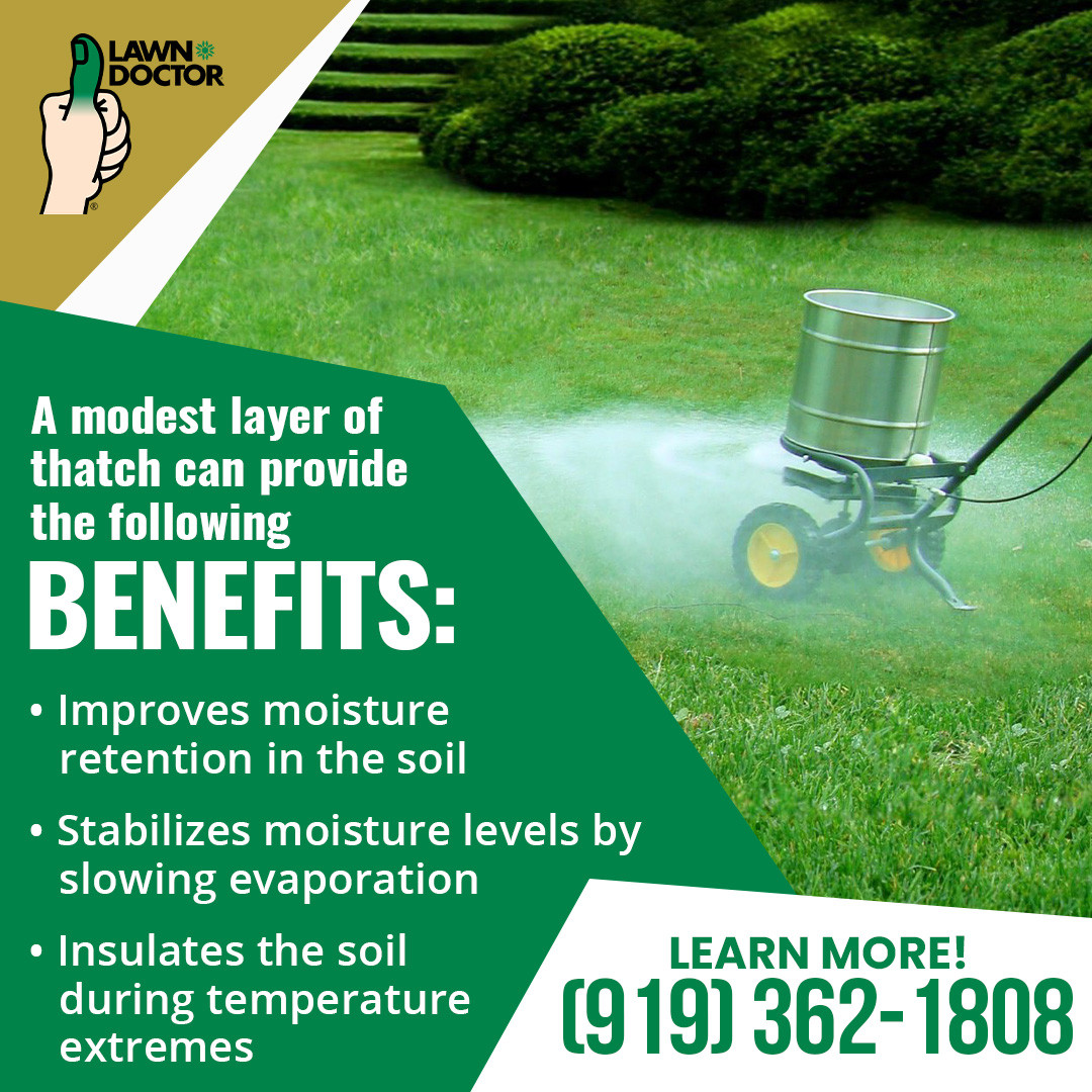 Lawn Doctor of CaryApex Lawn Care Services Company Shares a Basic