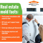 servpro-real-estate-mold-facts.jpg