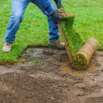 etobicoke sodding services.jpg