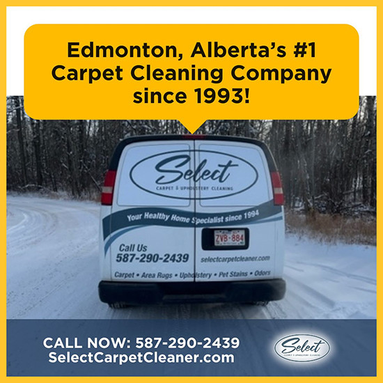 Select Carpet Offers Expert Area Rug Cleaning in Edmonton, ON