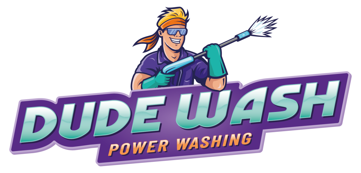 Dude Wash
