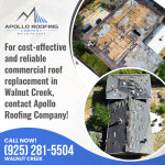 Apollo Roofing Company (Walnut Creek) 4 (2) (1).jpg