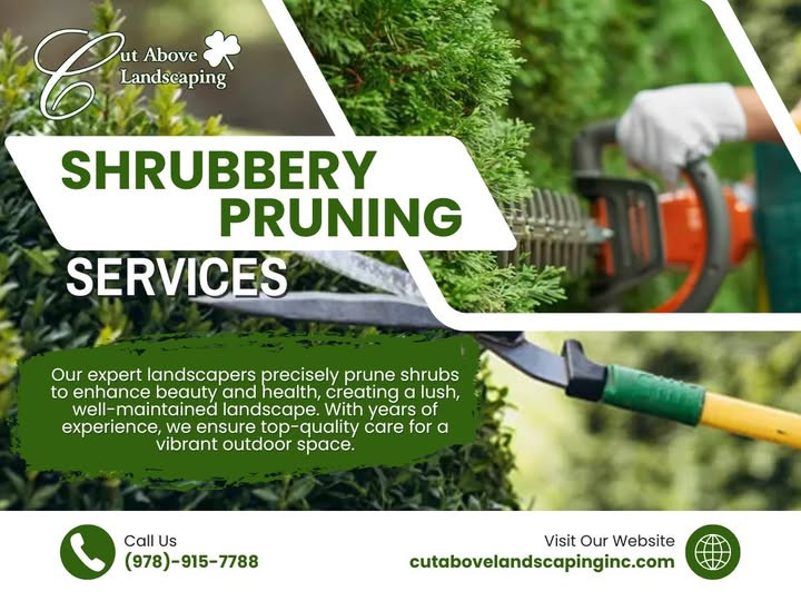 shrub planting and tree pruning in Billerica, MA