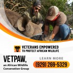 African-Wildlife-Conservation-Group-1.jpg