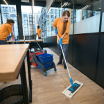 Big League Clean.png