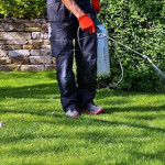 How Do Pre-Emergent Weed Treatments Prevent Weed Growth in Spring in Dawsonville.jpg