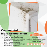 SERVPRO-of-Crowley-&-South-Johnson-County-Feb-(1).png