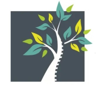 North Lakes Chiropractic & Functional Neurology