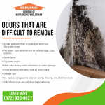 SERVPRO of Waxahachie PR Image 4.png