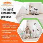 SERVPRO of Downtown Minneapolis_Team Bates & Hogan 3 (ver 2) (1).jpg