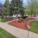 Mulch Installation
