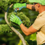 Untitled design (25).png