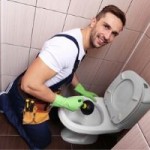 onlyflushtoiletpaper.jpg
