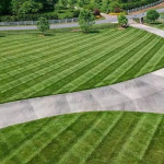 How Can Commercial Lawn Care Services in Cumming, GA, Enhance Your Business’s Curb Appeal Year-Round.jpg