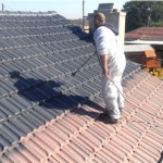 roof painter 1.JPG