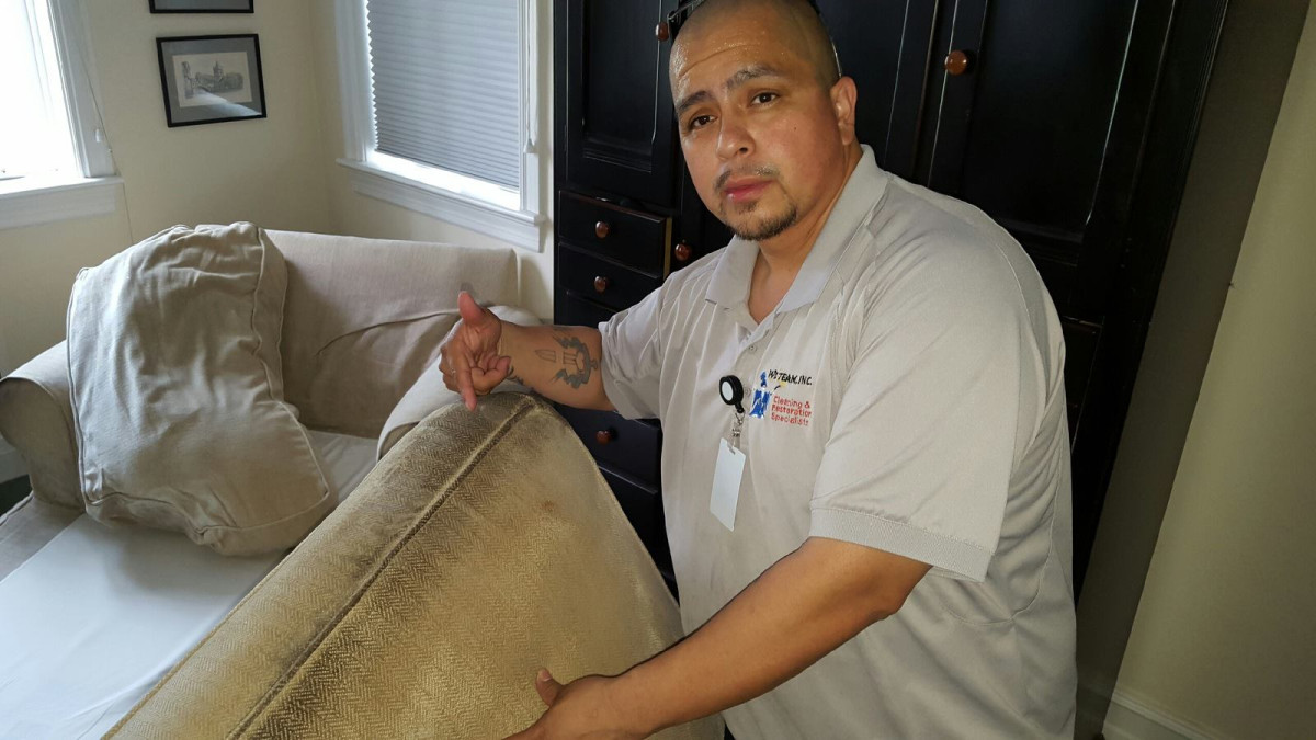 sofa cleaning 