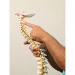 west omaha chiropractor near me-komp chiropractic.jpg