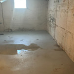 Wet-basement-Q16332.jpg