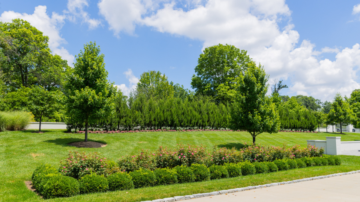 February Garden Preparation Guidance Released by Landscape St. Louis