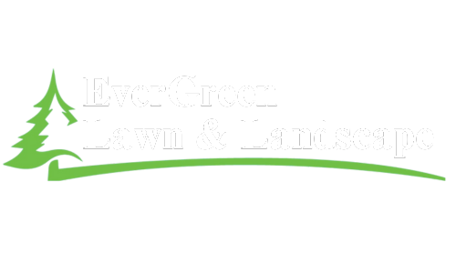 EverGreen Lawn & Landscape