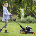 when to start mowing lawn in spring.jpg