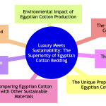 Egyptin cotton sustainable.png