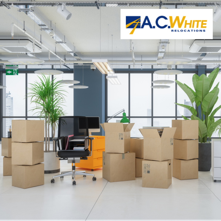 Sustainable Office Moving