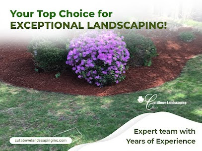 expert landscape design