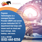 Pegasus Technologies 2.jpg