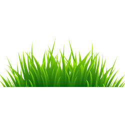 Artificial Grass Newcastle Experts
