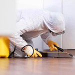 the-importance-of-regular-pest-control-in-gainesville-ga-residential-homes-ezgif.com-webp-to-jpg-converter.jpg