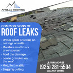 Apollo Roofing Company (Walnut Creek) 6.jpg
