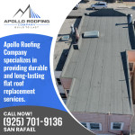 Apollo Roofing Company (San Rafael) 6 (11).jpg