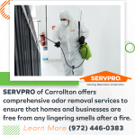 comprehensive odor removal services.png