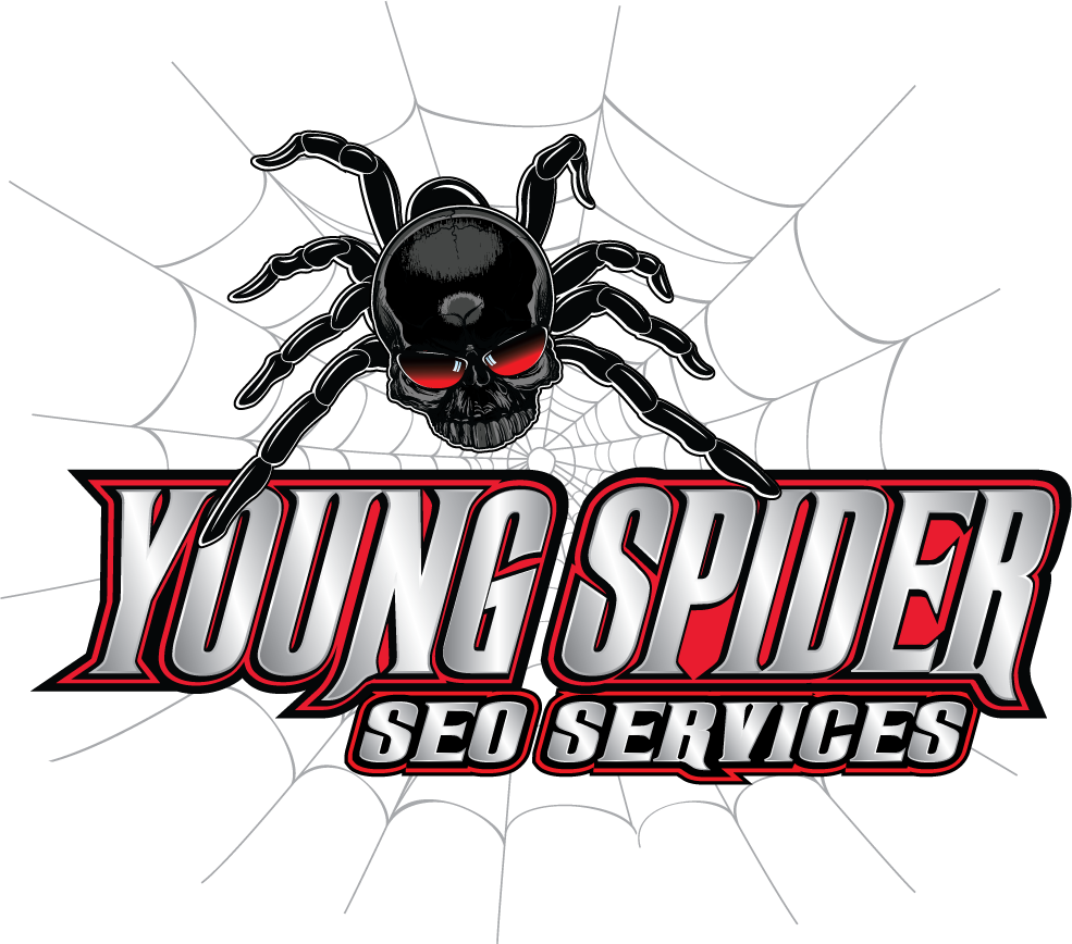 Young Spider SEO and Digital Marketing