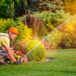sprinkler system lawn watering grass garden.jpg