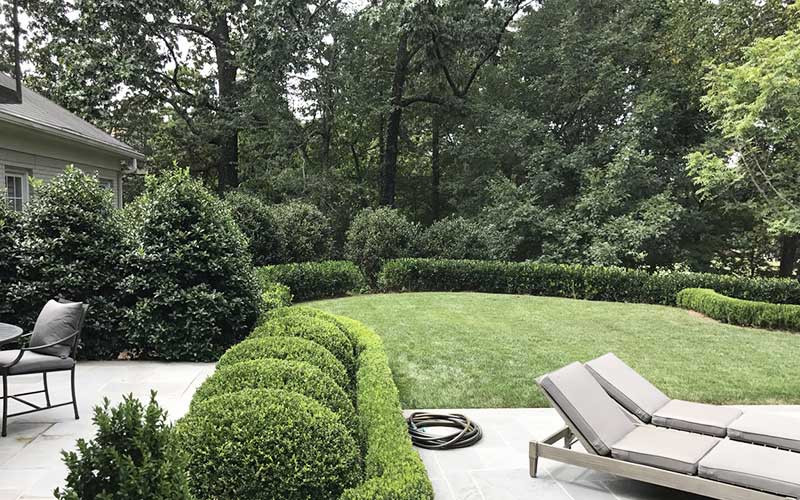 landscape tips