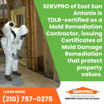 SERVPRO of East San Antonio 3.jpg