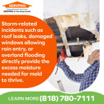 SERVPRO of Van Nuys South 2.jpg