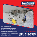 Sun Coast Contracting 4 (1).png