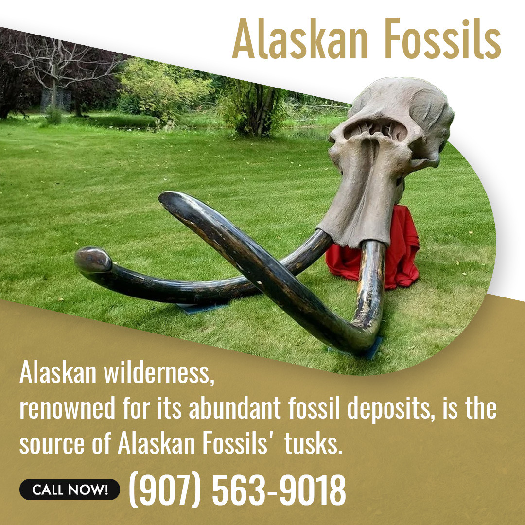 TROPICAL FOSSILS IN ALASKA visual data 3
