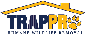 Trappro Humane Wildlife Removal
