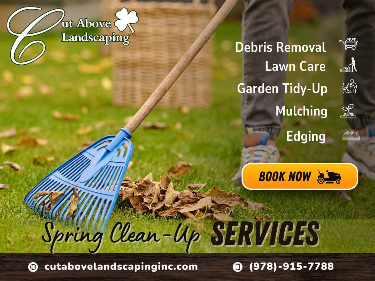 spring clean up service