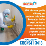 Restoration 1 Of Central Denver 2.jpg