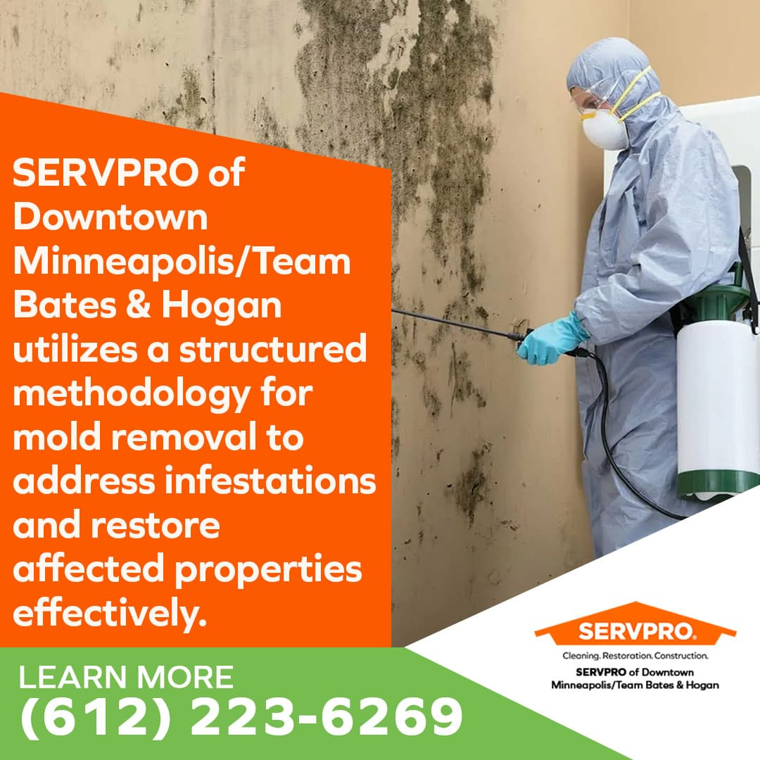 mold removal