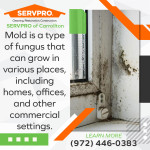 SERVPRO-of-Carrollton-(1).jpg