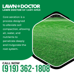 Lawn Doctor 1 (4).png