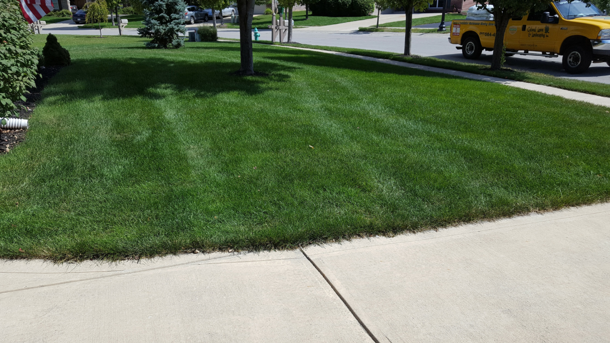 Organic vs Traditional Fertilization Decisions for Central Indiana Lawns